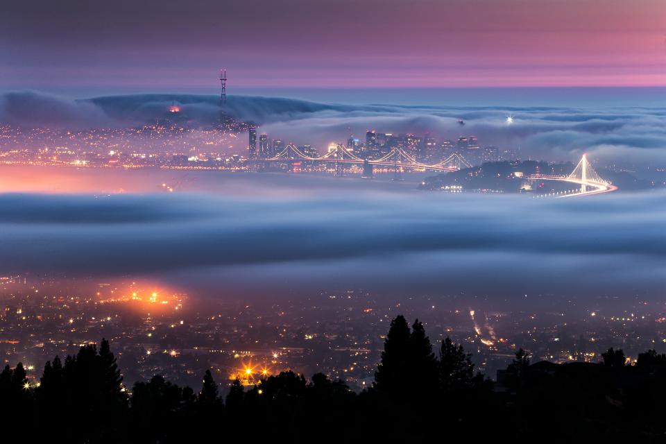 Fog City Special | Shutterbug